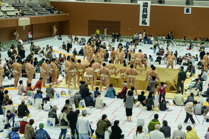 Sumo Tournament, Kyoto, Japan